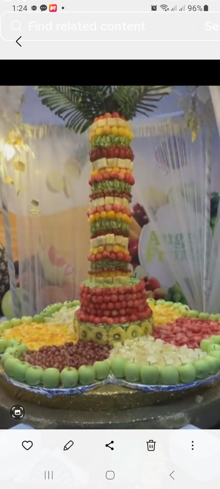 Fruit tree set up