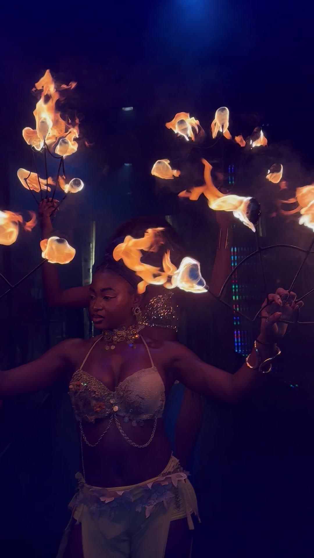 Video preview